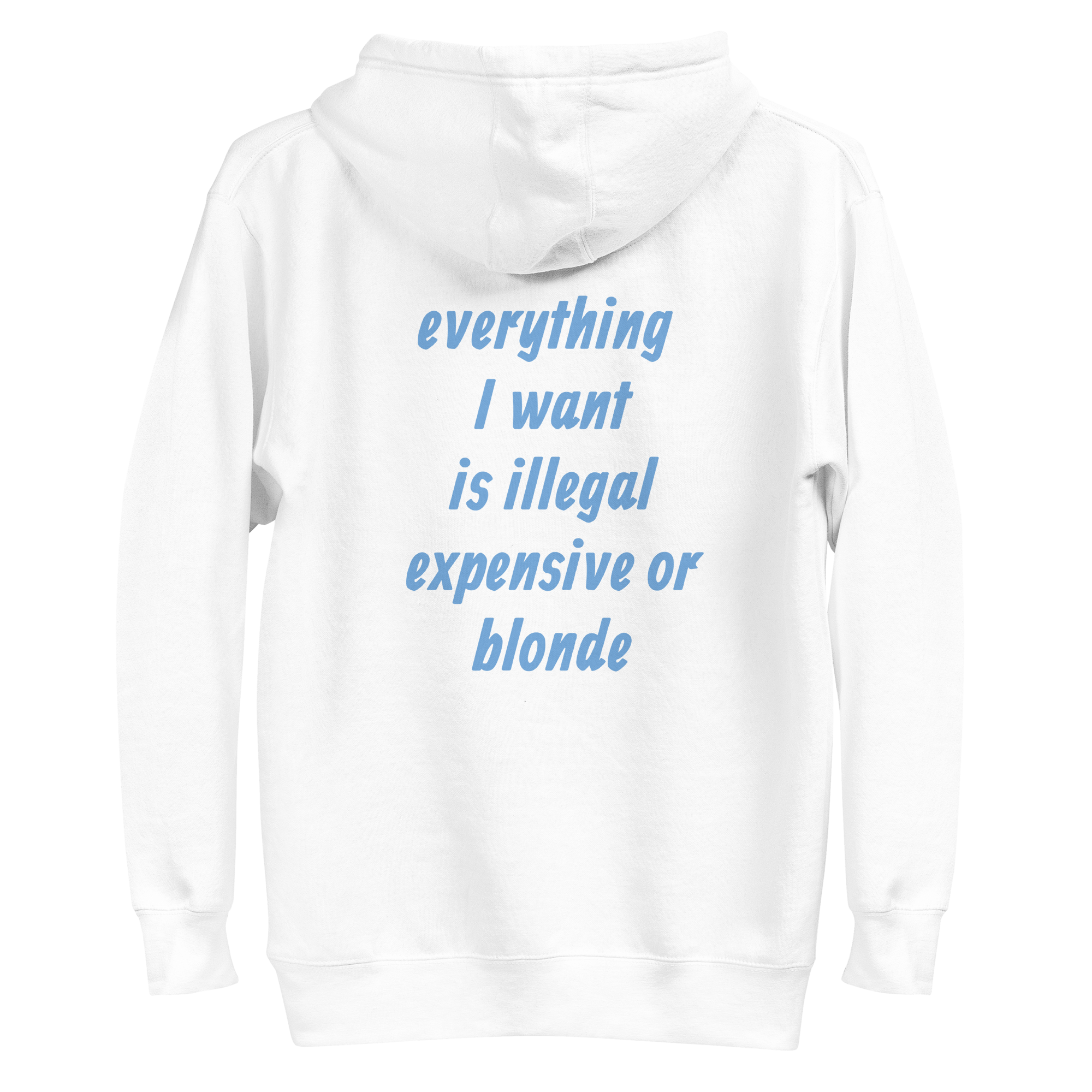 EVERYTHING I WANT IS ILLEGAL EXPENSIVE OR BLONDE HOODIE