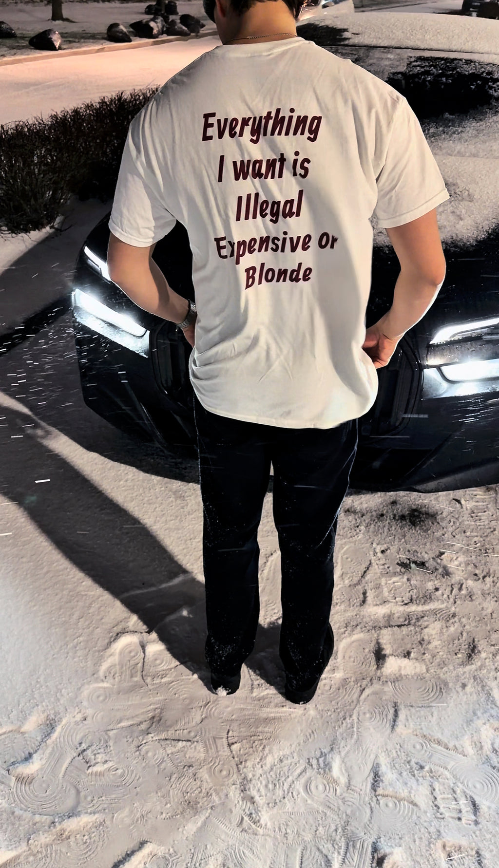 ALL I WANT IS ILLEGAL, EXPENSIVE OR BLONDE